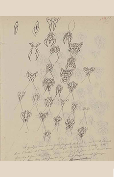 alfred-dreyfus-cahier